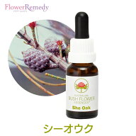 シーオウク《オーストラリアンブッシュ フラワーエッセンス》15ml【メール便対象】[シングルエッセンス/…