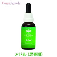 アドル（思春期）《オーストラリアンブッシュフラワーエッセンス》30ml [[コンビネーション/フラワーエッ…