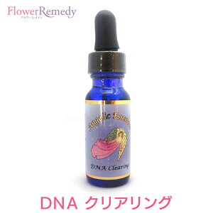 yubNtCf[Iő2222~N[|zzzDNA NAO sAWFbNGbZXt 15mly[֑ΏہzyVg//VE/t[GbZX//AJ/AWF