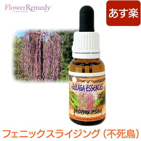 【スーパーSALE★P10倍＆お得なクーポン配布中】フェニックスライジング《ヒマラヤン・フラワーエンハンサーズ》15ml[ヒマラヤ｜フラワーエッセンス｜ヒマラヤンフラワーエンハンサーズ]