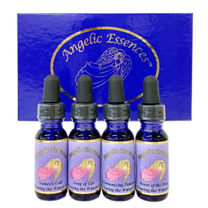 yyVX[p[SALE|Cg5{ő2222~N[|zzzNAO Iu U EH[^[ Lbgi̖jS4{sAWFbNGbZXt