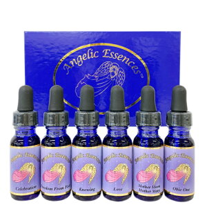 yyVC[OXӍՁIő 2222 ~N[|zzzMtg t U GWF LbgiVg̑蕨jS6{sAWFbNGbZXt