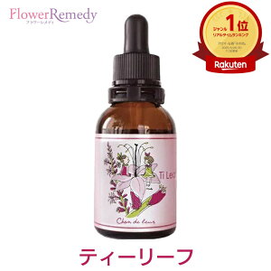 eB[[tt[GbZXsVhD[t20ml[哇bYt[GbZXb̎lGV[Y]