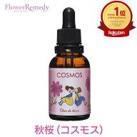秋桜（コスモス）フラワーエッセンス《シャンドゥルール》20ml [出雲｜国産フラワーエッセンス｜奄美大島]