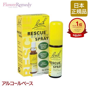 t[GbZX XL[Xv[ AR[x[X(20ml)KAi ob`t[fB Xv[^Cv XL[fB[ob`/t[/fB/tBgZs[/Ki/