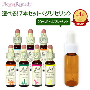 yZbgzob`t[fB OZx[X(10ml)Iׂ7{Zbgyg[gg{g 20ml1{Ȃv[gIIz[KAi/t[GbZX/t[