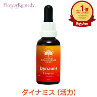 ダイナミス（活力）《オーストラリアンブッシュフラワーエッセンス》30ml [[コンビネーション/フラワーエ…