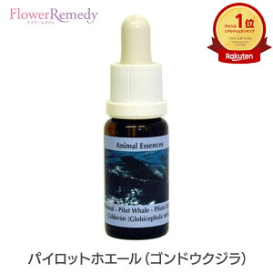 pCbgzG[iShENWjsRePHIGbZXt15ml [V[GbZX/t[GbZX/RePHI/NWGbZX/zG[]