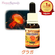 グラガ《ヒマラヤン・フラワーエンハンサーズ》15ml[グラガ/キノコ/ヒマラヤ/フラワーエッセンス/オース…