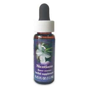 �i���񂹕i�j�j�R�V�A�i �sFES�t�����[�G�b�Z���X�t 7.5ml [FES/�t�����[�G�b�Z���X/�N�C���g�t�����[�G�b�Z���X/�V���O���G�b�Z���X/FES�t�����[�G�b�Z���X/�č�/�A�����J/�I�[�K�j�b�N]