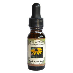 ubNAChX[Usp[Iut[q[OGbZXt15mly[֑Ώہz[AhoXVO/t[GbZX/KAi/AJ]