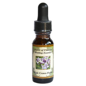 p[vNEt[sp[Iut[q[OGbZXt15mly[֑Ώہz[AhoXVO/t[GbZX/KAi/AJ]