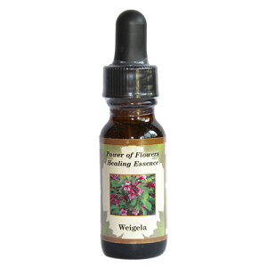 EFCQsp[Iut[q[OGbZXt15mly[֑Ώہz[AhoXVO/t[GbZX/KAi/AJ]