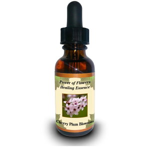 `F[vsp[Iut[q[OGbZXt15mly[֑Ώہz[AhoXVO/t[GbZX/KAi/AJ]