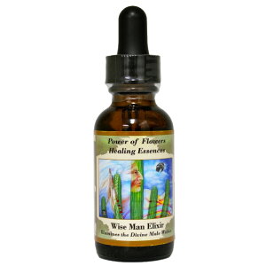 CY}GNT[i_ȒjPjsp[Iut[q[OGbZXt30ml [p[Iut[bt[GbZXbCi[`Chb萯p]