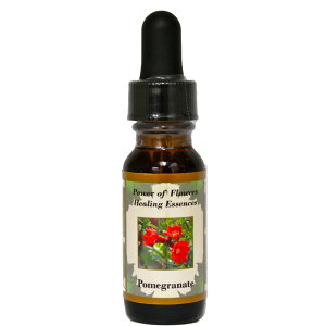 y[֑Ώہz|OiCgin͂񕜂AȂ鈤Əojsp[Itu[q[OGbZXt15ml[čt[GbZX/C[V/VOGbZX/p[