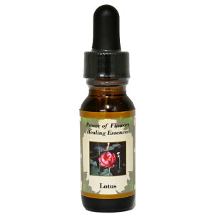 y[֑Ώہz[^XiȂԂɂAI̐VTCN𒲘ajsp[Itu[q[OGbZXt15ml[C[VGbZX/p[Itu[q[