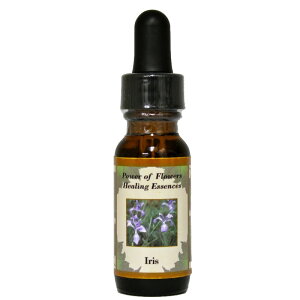 y[֑ΏہzACXin͂^Aϗe炷̉˂jsp[Itu[q[OGbZXt15ml[čt[GbZX/C[V/VOGbZX/p[I