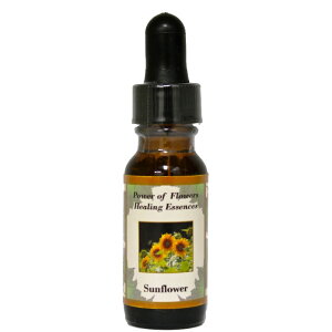 Tt[iPō̃rWƉsCÂ^jsp[Itu[q[OGbZXt15ml[čt[GbZX/C[V/VOGbZX/p[Itu