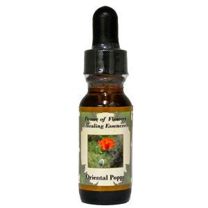 y[֑ΏہzIG^|s[idEƂȂ萹Ȃ闷ւƓjsp[Itu[q[OGbZXt15ml[čt[GbZX/C[V/VOGbZX/p