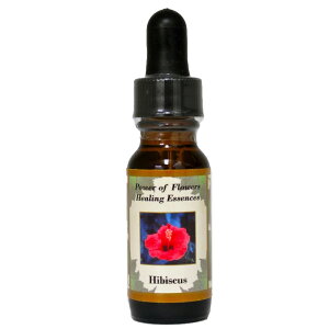 y[֑ΏہznCrXJXiFGlM[荞݁A̕njsp[Itu[q[OGbZXt15ml[C[VGbZX/p[Itu[q[O]