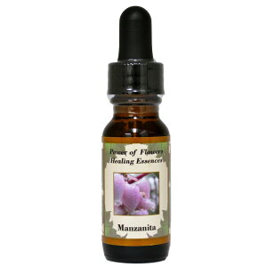 y[֑Ώہz}Uj[^iɏh鏗_ɌƂ炵̂jsp[Iut[q[OGbZXt15ml