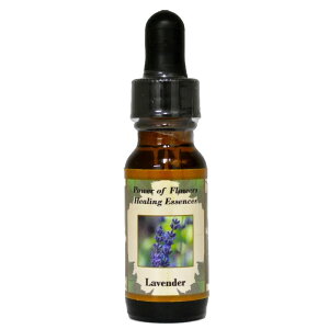 [֑Ώہzx_[i[̌ŗDݍށjsp[Itu[q[OGbZXt15ml[čt[GbZX/C[V/VOGbZX/p[Itu[