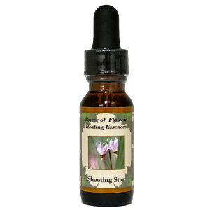 y[֑Ώہzp[Iut[q[OGbZX V[eBOX^[i̐ɂaj