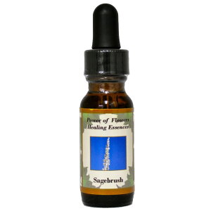 y[֑ΏہzZ[WubViÂKp^[Ƃjsp[Itu[q[OGbZXt15ml[C[VGbZX/p[Itu[q[O]