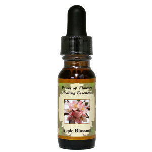 y[֑ΏہzAbvubTin[g̒ɑ݂Ȃ]̌Ƃ炵jsp[Itu[q[OGbZXt15ml[C[VGbZX/p[Itu[q[