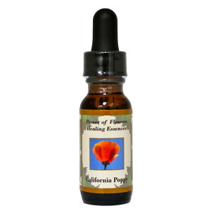 JtHjA|s[iREɃn[gJȗd̐EKjsp[Iut[q[OGbZXt15mly[֑Ώہz[x[VbNVO/t[GbZX/K