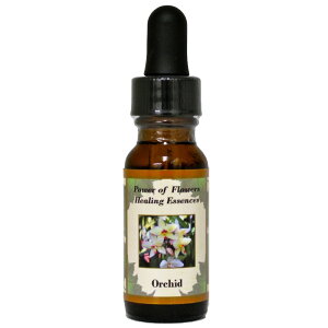 I[Lbhin[gڊo߂ZNVeB[ƈmjsp[Iut[q[OGbZXt15mly[֑Ώہz[x[VbNVO/t[GbZX/KAi/A