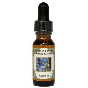 y[֑ΏہzA[JiVgƂ̊֌W[߁AƗIEZjsp[Itu[q[OGbZXt15ml[C[VGbZX/p[Itu[q[