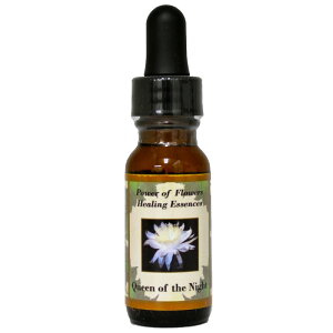 NB[IuUiCgiEρEhE[^̒qdւƓjsp[Iut[q[OGbZXt15mly[֑Ώہz[x[VbNVO/t[GbZX/