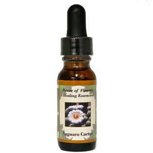 y[֑ΏہzTOAJN^XiȂc̐ȂmɐGjsp[Itu[q[OGbZXt15ml[čt[GbZX/C[V/VOGbZX/p[