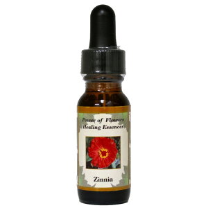 WjAiVѐSvoтɖꂷׂĂjjsp[Iut[q[OGbZXt15mly[֑Ώہz[x[VbNVO/t[GbZX/KAi/A