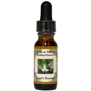 yyVC[OXӍՁIő 2222 ~N[|zzzy[֑ΏہzGWFYgybgiAVւƃVtgjsp[Itu[q[OGbZ