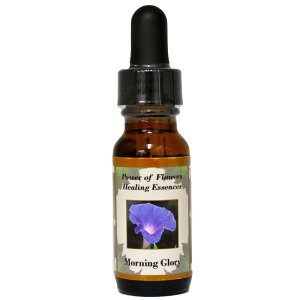 y[֑Ώہz[jOO[[iȂ鏗ڊo߂AVEւƌqjsp[Itu[q[OGbZXt15ml[C[VGbZX/p[Itu[q[