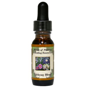 y[֑ΏہzAP~[inɂ͓̂VɂAVɂ̂͒nɂjsp[Itu[q[OGbZXt15ml[C[VGbZX/p[Itu[q[O]