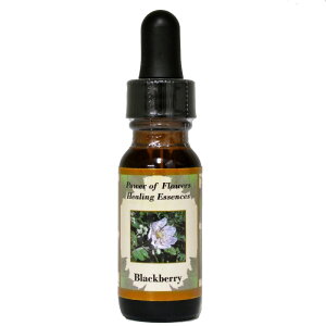 ubNx[sp[Iut[q[OGbZXt15mly[֑Ώہz[AhoXVO/t[GbZX/KAi/AJ]