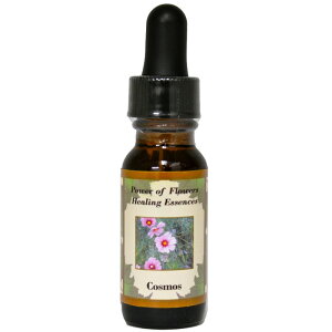 RXXsp[Iut[q[OGbZXt15mly[֑Ώہz[AhoXVO/t[GbZX/KAi/AJ]