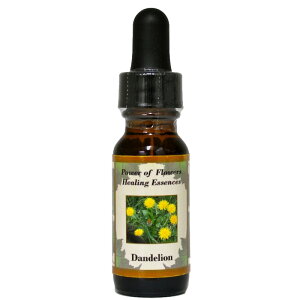 _fCIsp[Iut[q[OGbZXt15mly[֑Ώہz[AhoXVO/t[GbZX/KAi/AJ]