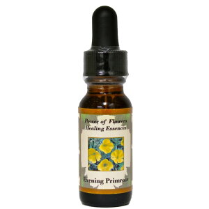 CujOv[Ysp[Iut[q[OGbZXt15mly[֑Ώہz[AhoXVO/t[GbZX/KAi/AJ]