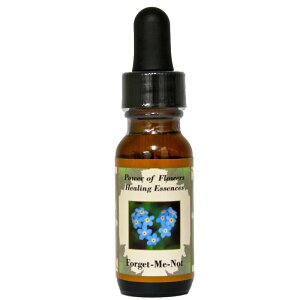 tHQbg~[mbgsp[Iut[q[OGbZXt15mly[֑Ώہz[AhoXVO/t[GbZX/KAi/AJ]