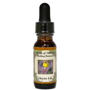 OCV[z[[sp[Iut[q[OGbZXt15mly[֑Ώہz[AhoXVO/t[GbZX/KAi/AJ]