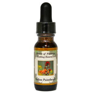 CfBAyCguVsp[Iut[q[OGbZXt15mly[֑Ώہz[AhoXVO/t[GbZX/KAi/AJ]