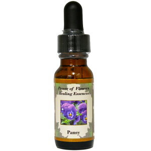 pW[sp[Iut[q[OGbZXt15mly[֑Ώہz[AhoXVO/t[GbZX/KAi/AJ]