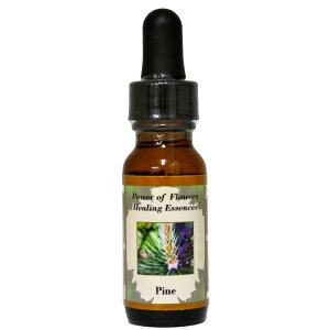 pCsp[Iut[q[OGbZXt15mly[֑Ώہz[AhoXVO/t[GbZX/KAi/AJ]