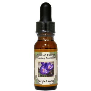 p[vNbJXsp[Iut[q[OGbZXt15mly[֑Ώہz[AhoXVO/t[GbZX/KAi/AJ]