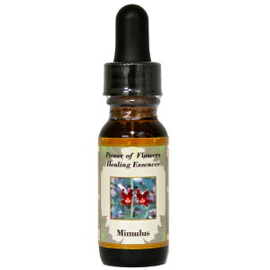 ~Xsp[Iut[q[OGbZXt15mly[֑Ώہz[AhoXVO/t[GbZX/KAi/AJ]